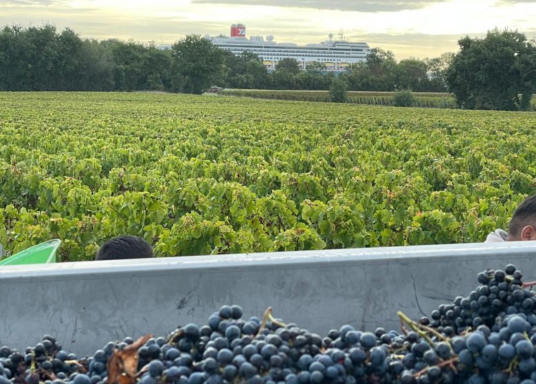 Château Ségur de Cabanac