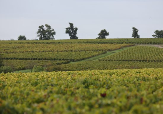 Château Sociando-Mallet