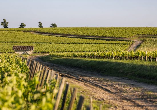 Château Sociando-Mallet
