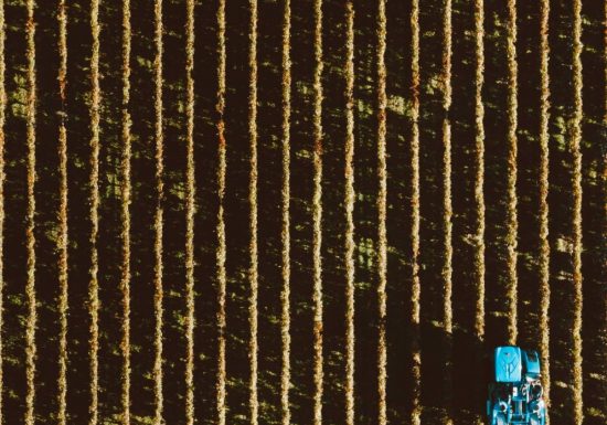 Château Beauvillage