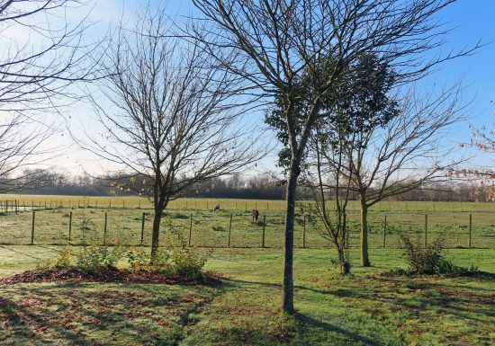 Aire van Château Pierre de Montignac