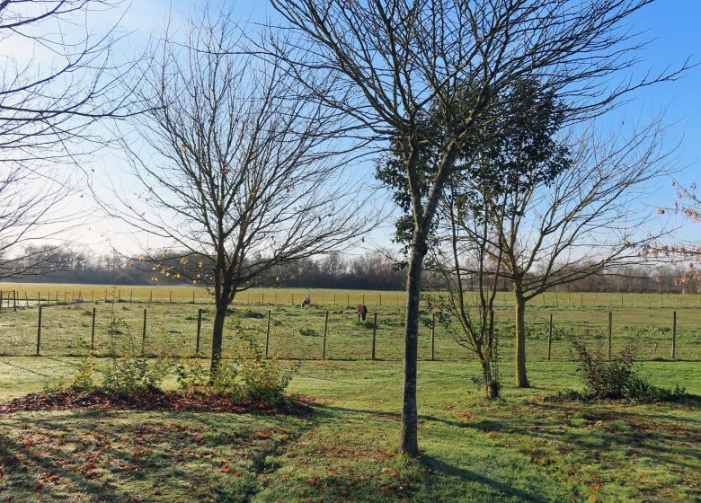 Aire van Château Pierre de Montignac