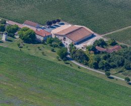 Château Pierre de Montignac : gite Anthocyane
