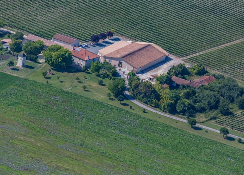 Château Pierre de Montignac: Anthocyanen gite