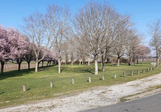 Aire de pique-nique de Blaignan