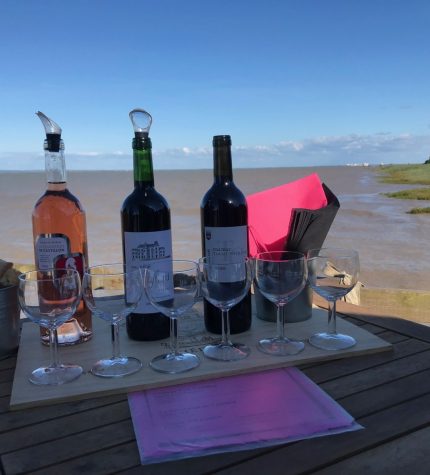 Toutes les activités en bord d’estuaire