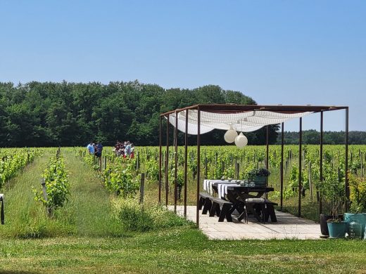 L’Apéro dans les Vignes au Château Hourtin-Ducasse