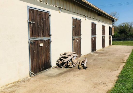 Haras de l'Olivier