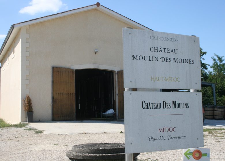 Castelo dos Moulins