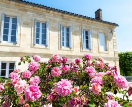 Château Petit Bocq