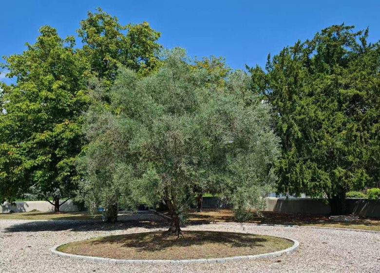 Chez le Vieux Château Landon: Location de la maison entière