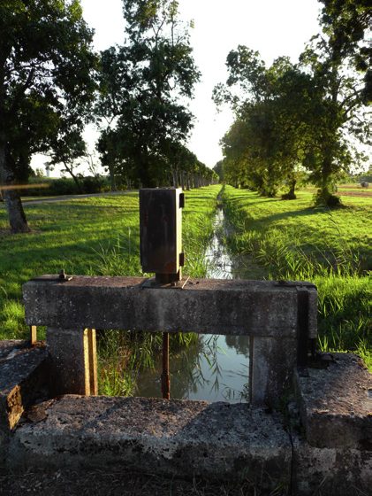 From the estuary to the vineyard: Saint-Julien-Beychevelle loop