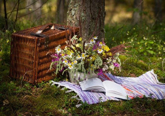 Visite et panier gourmand au Château de la Croix