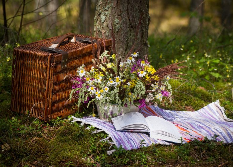 Visit and gourmet basket at the Château de la Croix