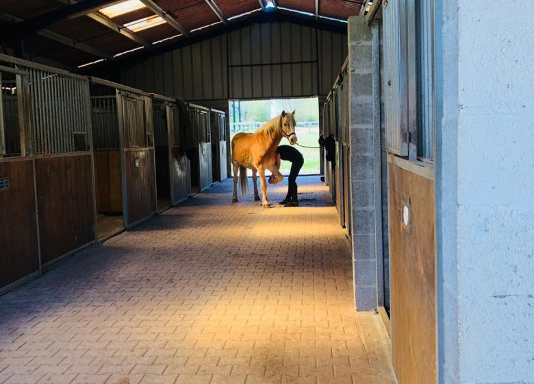 Haras de l’Olivier