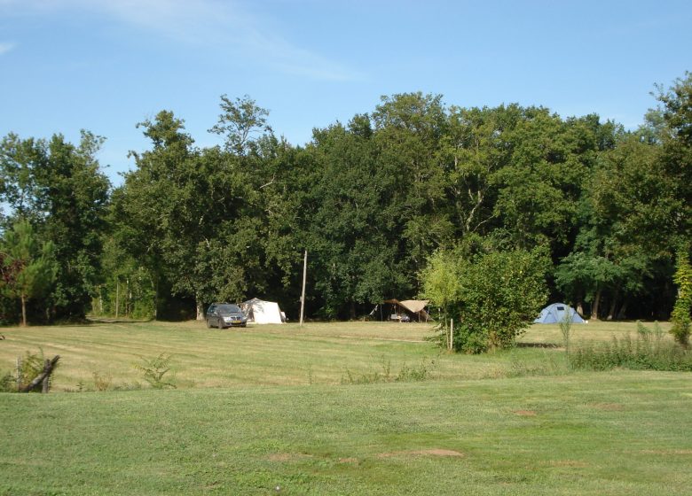 Domaine de Laguneaussan: campsite