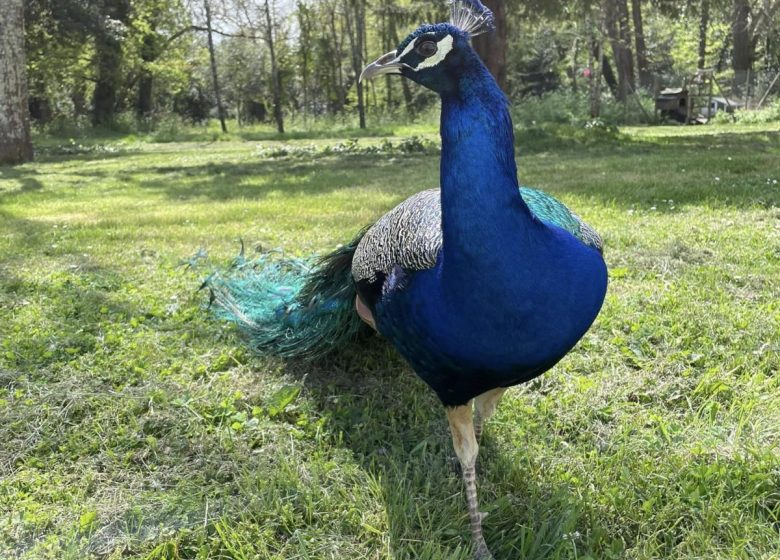 Château d&rsquo;Escurac