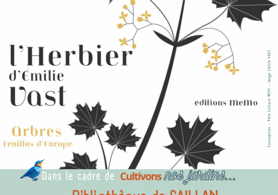 Expo les herbiers d’Emilie VAST les arbres feuillus