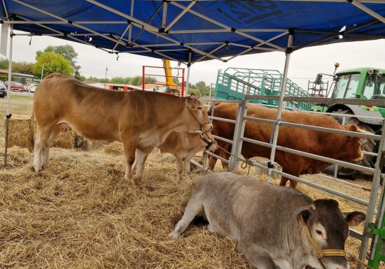 Grande Foire Agricole