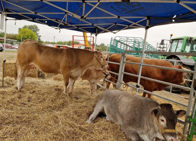 Große Landwirtschaftsmesse