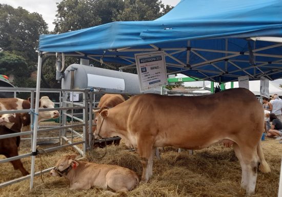 Grande Foire Agricole
