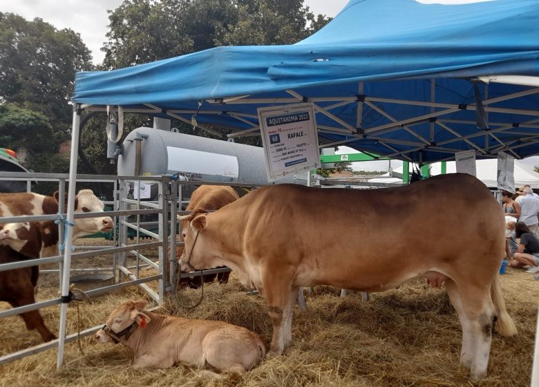 Große Landwirtschaftsmesse