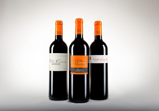 Château Fleur La Mothe