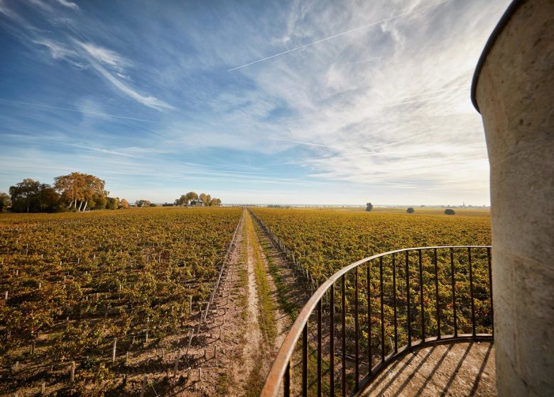 Chateau Pichon Baron