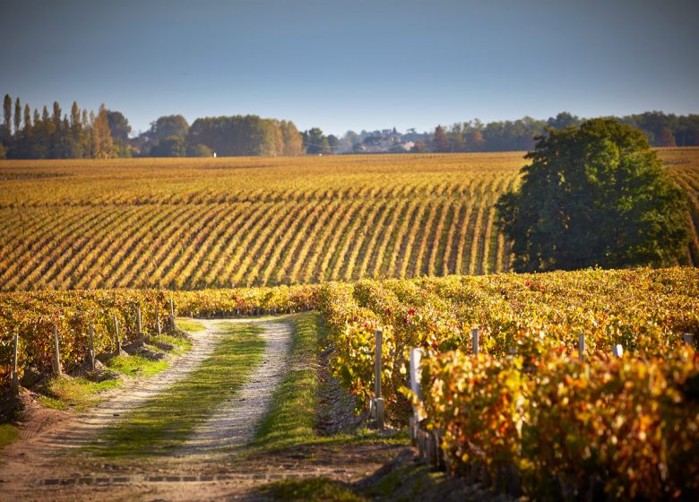 Chateau Pichon Baron