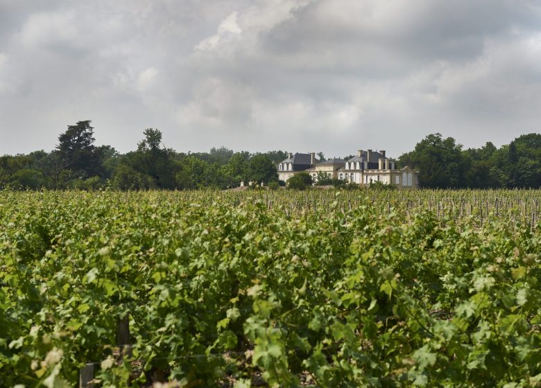 Castillo Léoville Barton