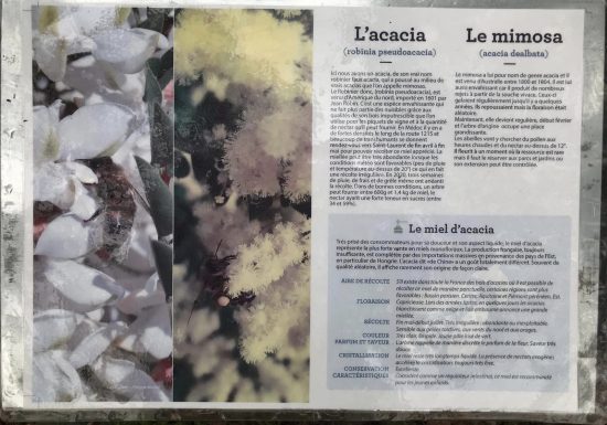 Le Sentier de l’abeille de Benon