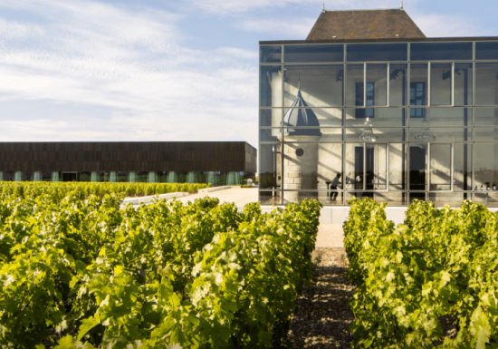 A harmonização de vinho e chocolate do Château Pédesclaux