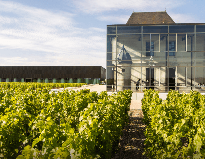 Die Kombination aus Wein und Schokolade von Château Pédesclaux