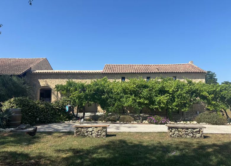 Les chais du fourneau – le roof top