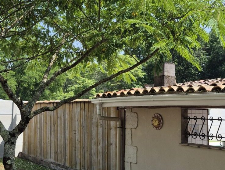 Charmante maison au cœur du vignoble