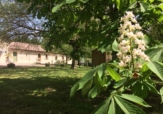 Castello dell'Alto Barone