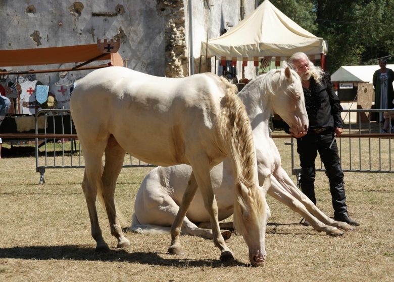 I Medievali di Lesparre-Médoc 2024