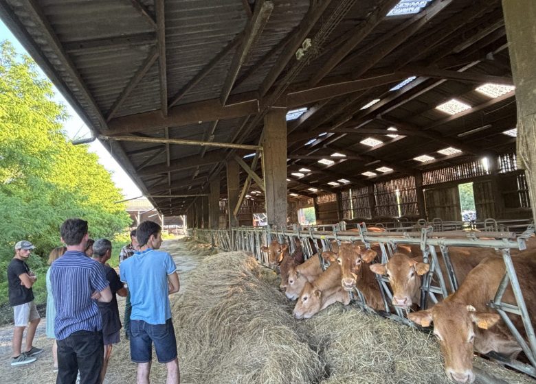 Les mercredis à la ferme