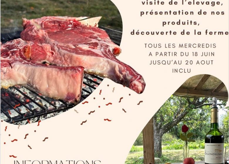 Les mercredis à la ferme