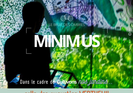 Minimus spectacle immerssif, visuel et sonore