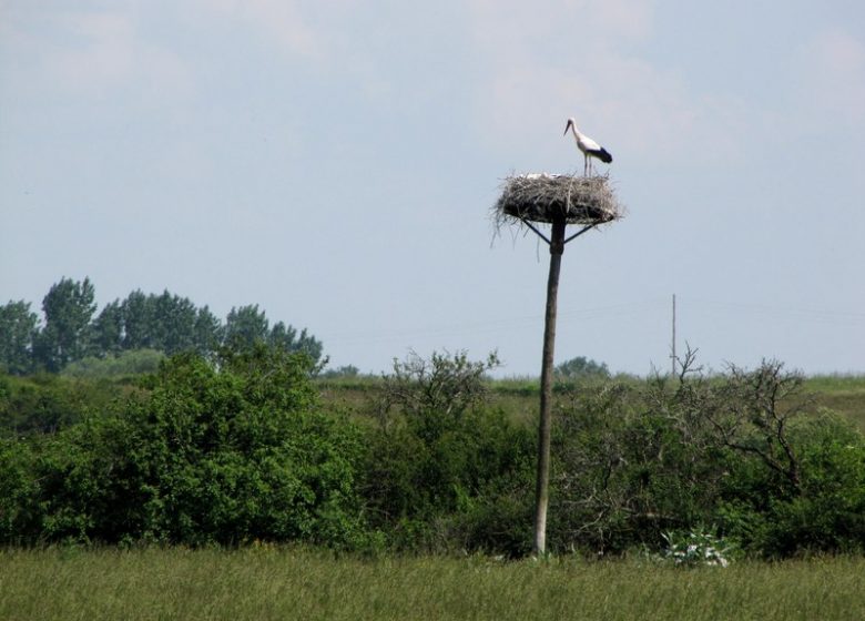 Marais de la Maréchale