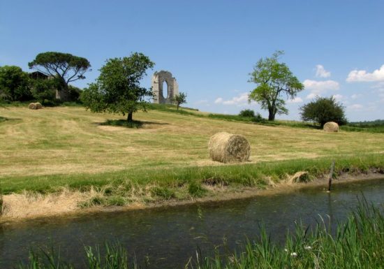 Marais de la Maréchale