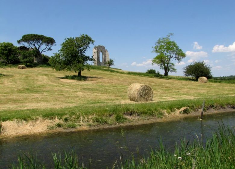 Marais de la Maréchale