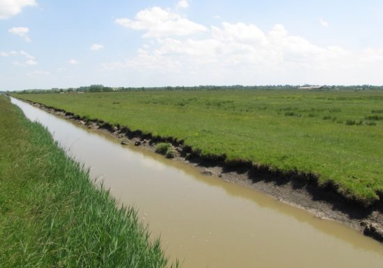 Marais de la Maréchale