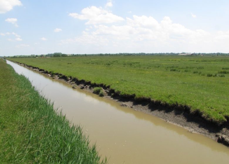 Marais de la Maréchale