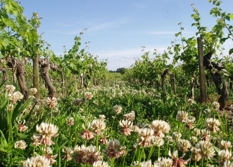 ChâteauL'Inclassable