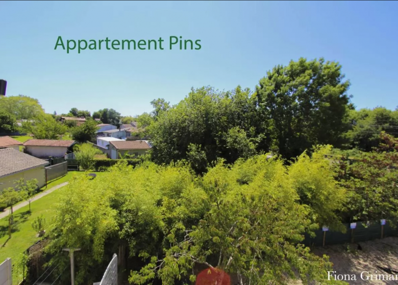 Appartement  Pin