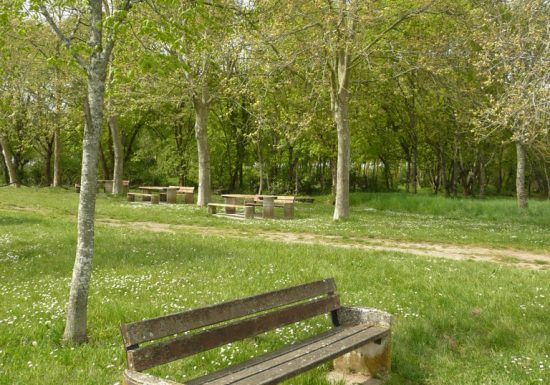 Aire de pique-nique du port de Beychevelle