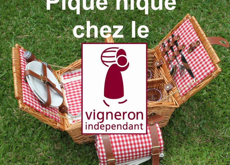 Picnic all'enologo indipendente dello Château Hourtin-Ducasse