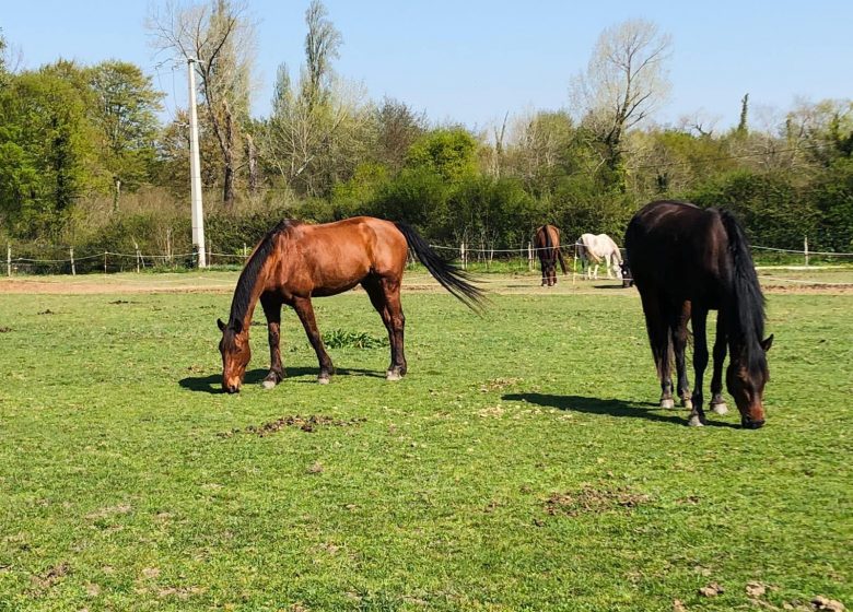 Haras del'Olivierプレイハウス